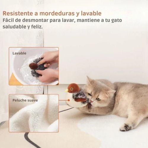 Pluma Divertida™ - Juguete Interactivo para Gatos